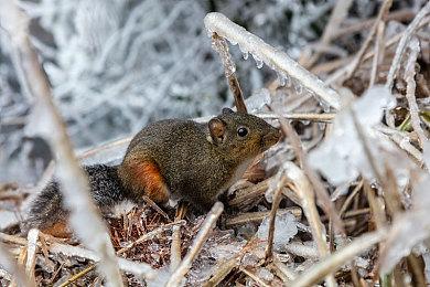 《禁闭求生》最新更新11月13日上线 追加新模式玩法